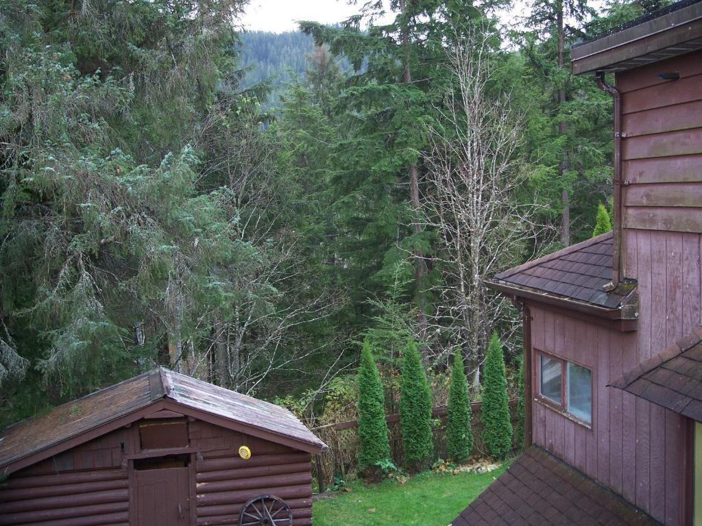Tall Trees Bed & Breakfast Prince Rupert Chambre photo